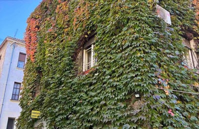 Alquiler de un acogedor apartamento de 2 habitaciones, 50 m², cerca del centro de Belgrado, Serbia